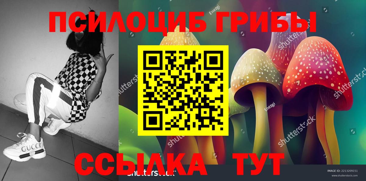 цена наркотик  Псилоцибиновые грибы Psilocybe  Вход с VPN  Карпинск  Псилоцибиновые грибы Psilocybine cubensis 